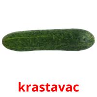 krastavac picture flashcards
