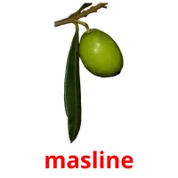 masline picture flashcards