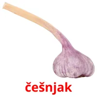 češnjak picture flashcards