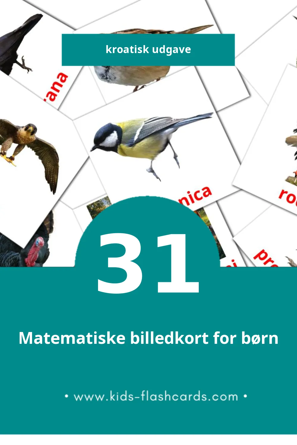 Visuelle billedkort for børn om ptice til småbørn (31 kort på Kroatisk)