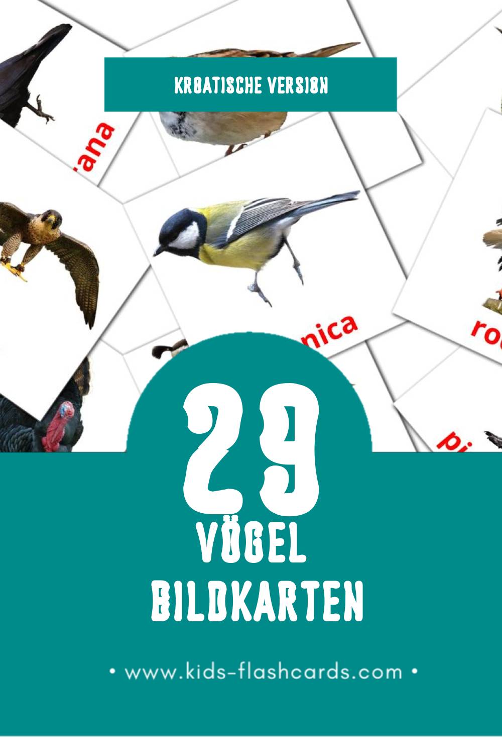 Visual ptice Flashcards für Kleinkinder (29 Karten in Kroatisch)
