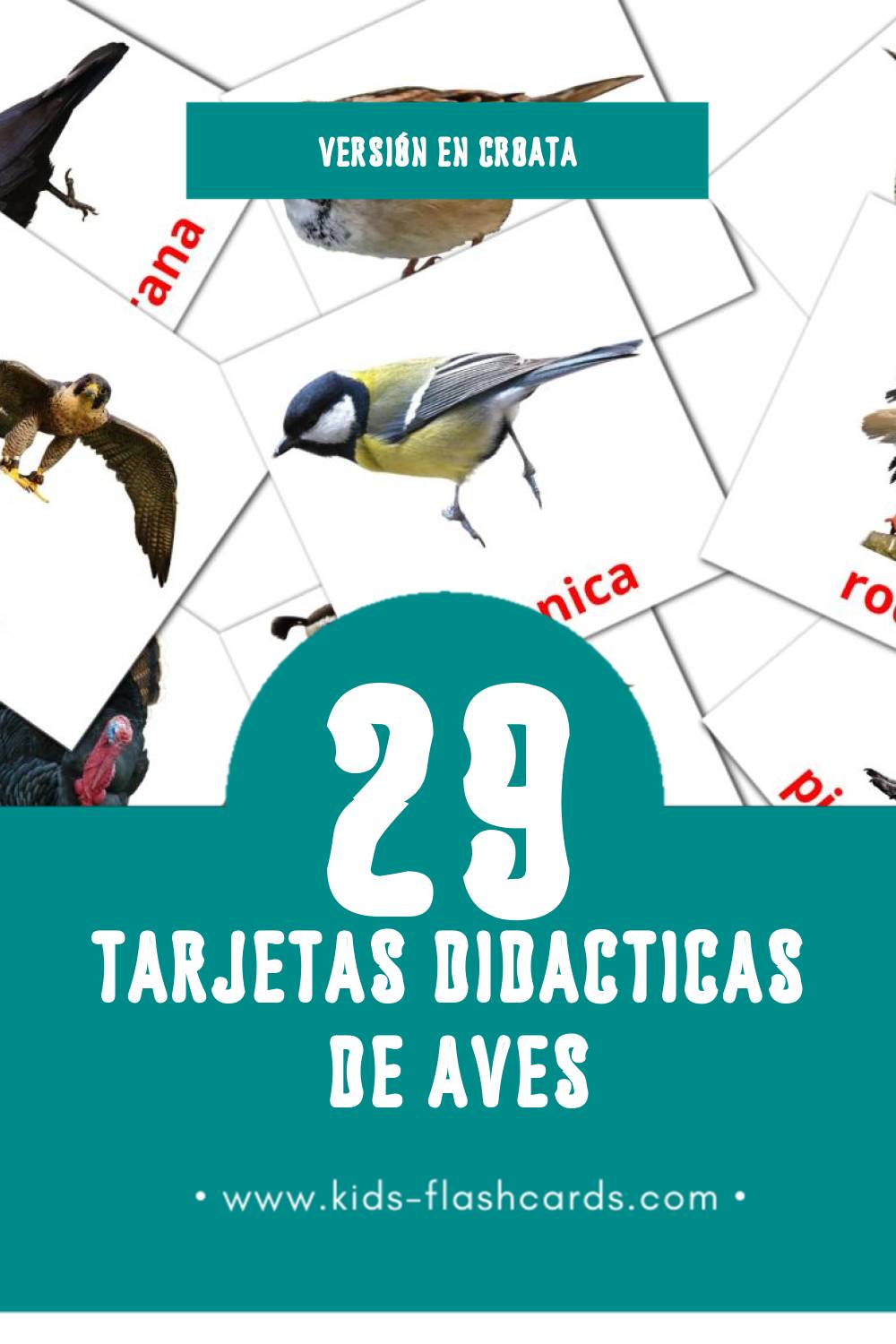 Tarjetas visuales de ptice para niños pequeños (29 tarjetas en Croata)