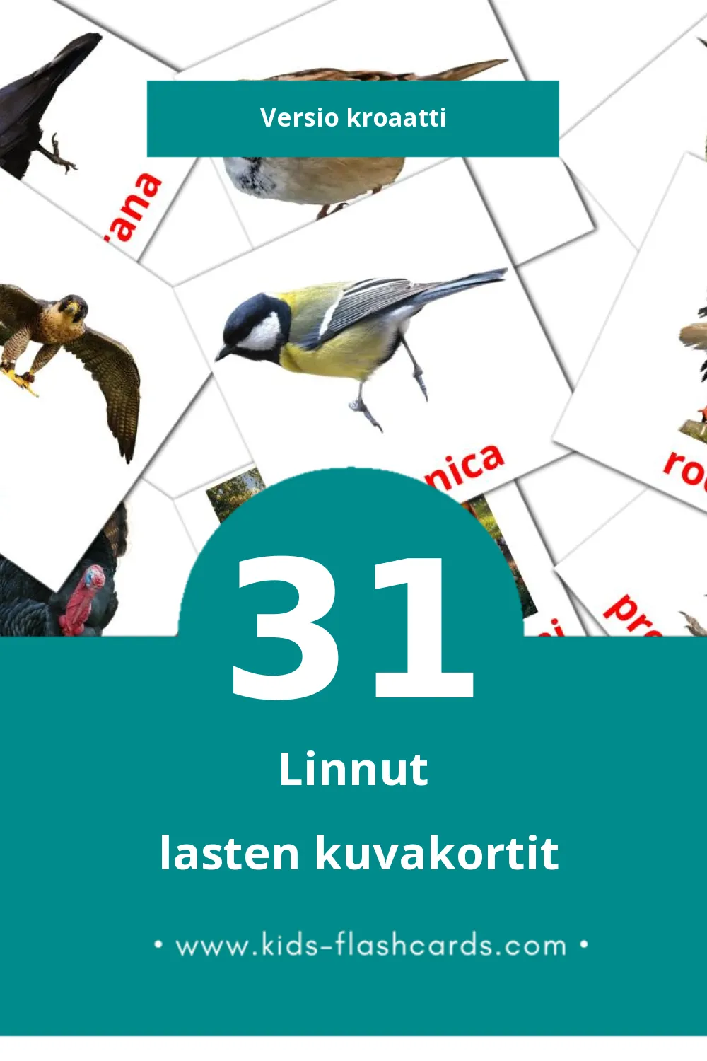ptice lasten kuvakortit pikkulapsille (31 korttia Kroaattiksi)