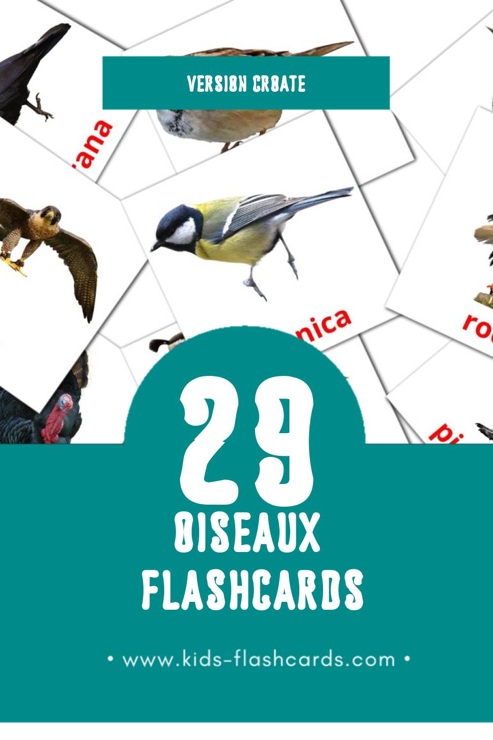 Flashcards Visual ptice pour les tout-petits (29 cartes en Croate)
