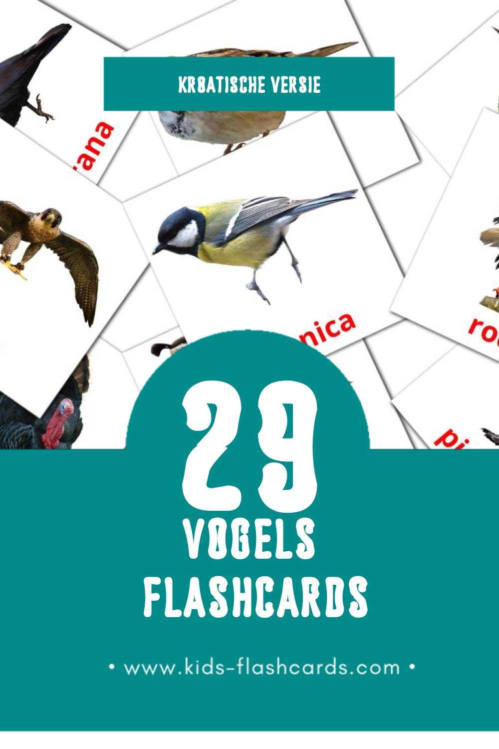 Visuele ptice Flashcards voor Kleuters (29 kaarten in het Kroatisch)