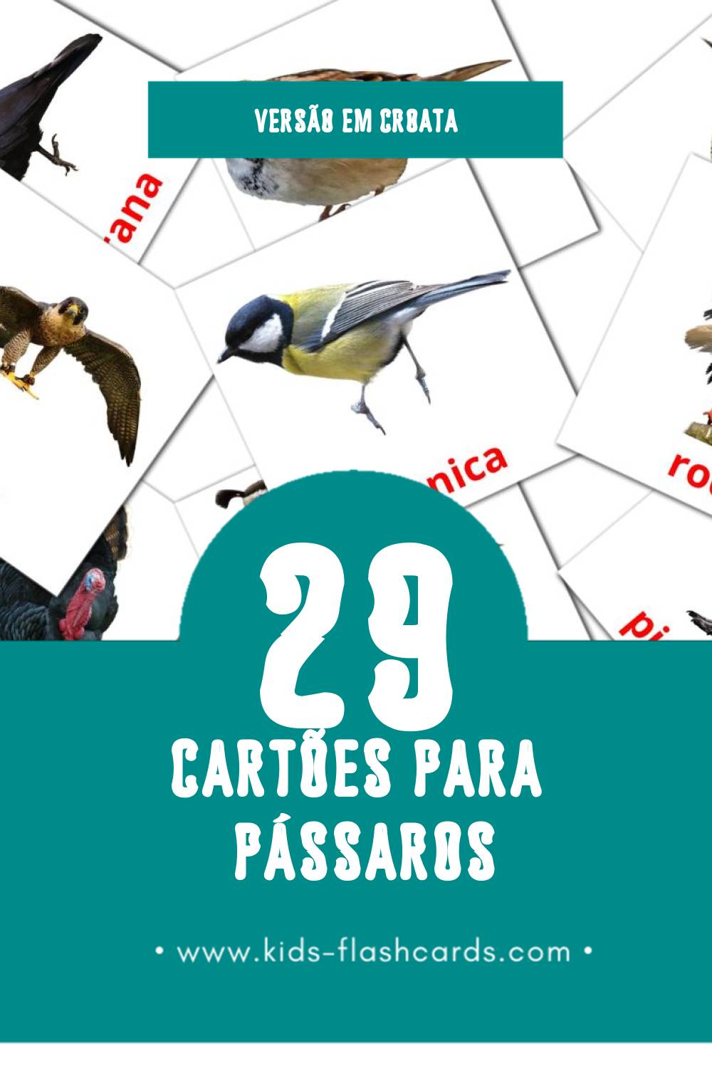 Flashcards de ptice Visuais para Toddlers (29 cartões em Croata)