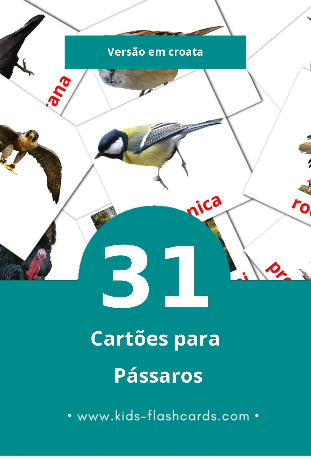 Flashcards de ptice Visuais para Toddlers (31 cartões em Croata)