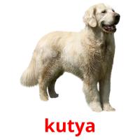 kutya card for translate