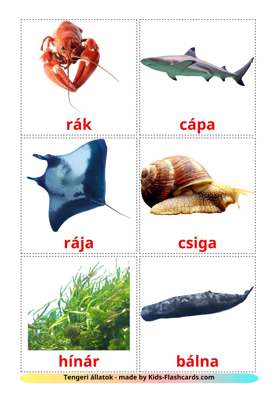 Sea animals - 29 Free Printable hungarian Flashcards 