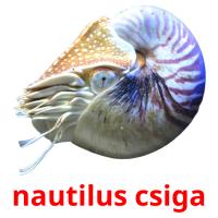 nautilus csiga flashcards illustrate
