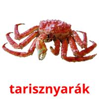 tarisznyarák Tarjetas didacticas
