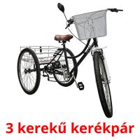 3 kerekű kerékpár Tarjetas didacticas