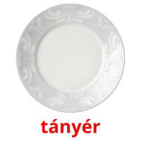 tányér card for translate