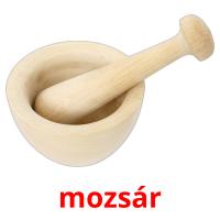 mozsár picture flashcards
