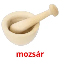 mozsár Tarjetas didacticas