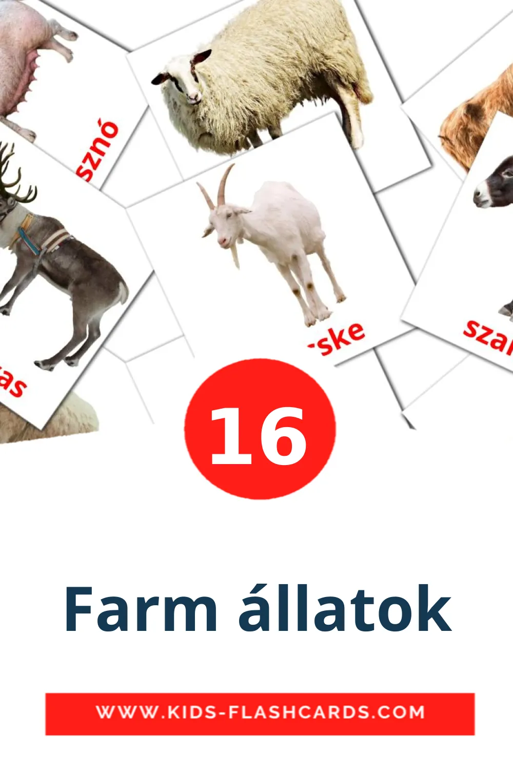 16 cartes illustrées de Farm állatok pour la maternelle en hongrois