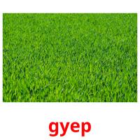 gyep flashcards illustrate