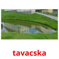 tavacska flashcards illustrate