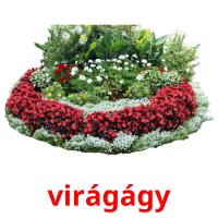 virágágy cartões com imagens