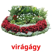 virágágy Bildkarteikarten