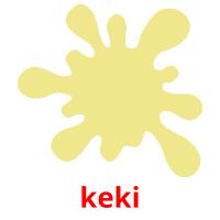 keki flashcards illustrate