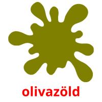 olivazöld flashcards illustrate