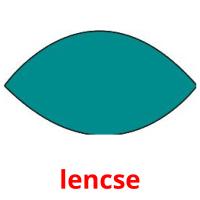 lencse picture flashcards