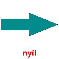 nyíl picture flashcards