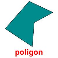 poligon picture flashcards