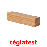 téglatest Bildkarteikarten