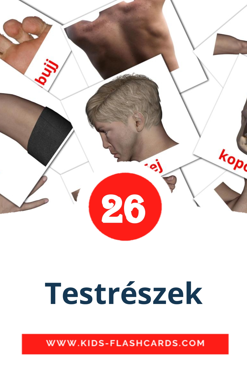 26 cartes illustrées de Testrészek pour la maternelle en hongrois