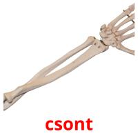 csont card for translate