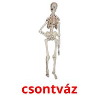 csontváz card for translate