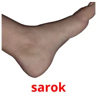 sarok Bildkarteikarten