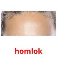 homlok picture flashcards