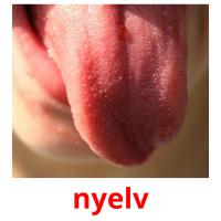nyelv picture flashcards