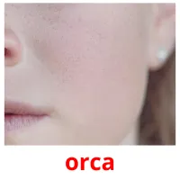 orca ansichtkaarten