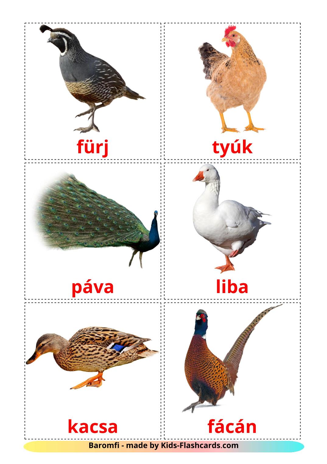 Птицы в деревне - 11 Карточек Домана на венгерском