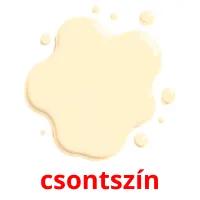 csontszín picture flashcards