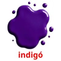 indigó picture flashcards