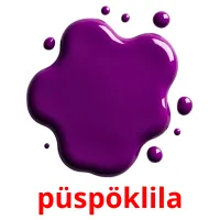 püspöklila picture flashcards