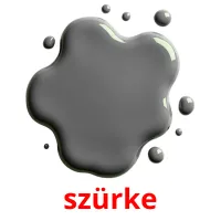 szürke picture flashcards