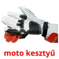 moto kesztyű Bildkarteikarten