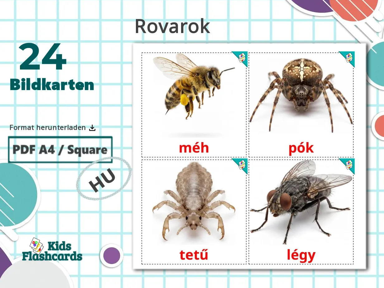 Hungarian Insect 24 Insekt Bildkarten in PDF | Ungarisch Bilder