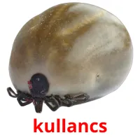 kullancs picture flashcards