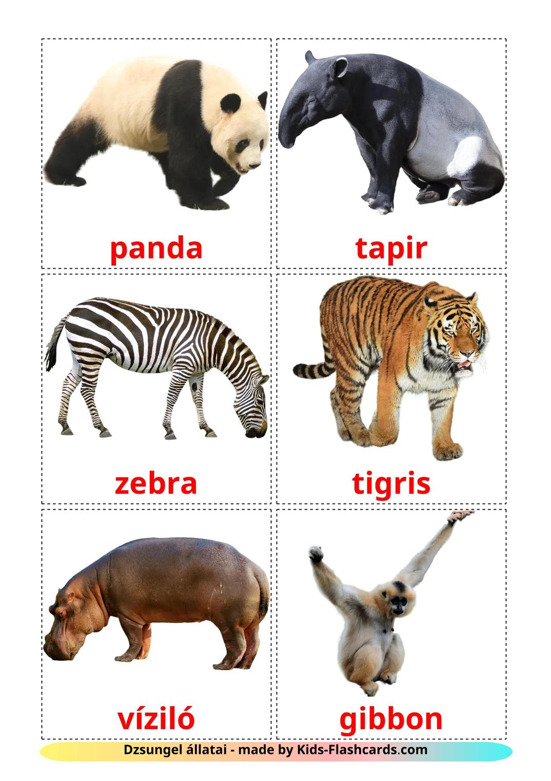 Animais da Selva - 22 Flashcards hungaroes gratuitos para impressão