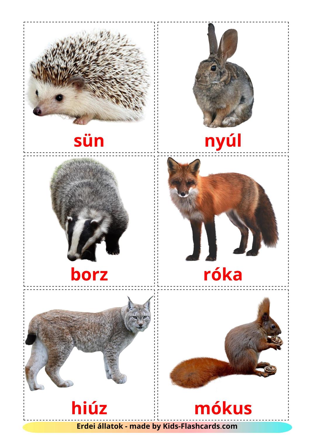 Forest animals - 22 Free Printable hungarian Flashcards 