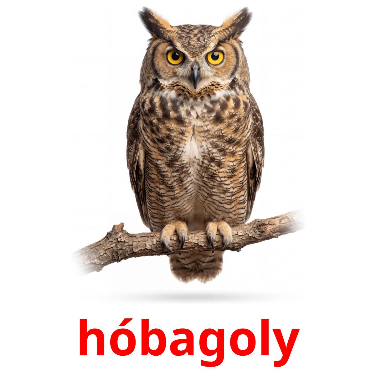 141 FREE Hungarian Animals Flashcards | PDF