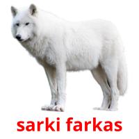 sarki farkas card for translate