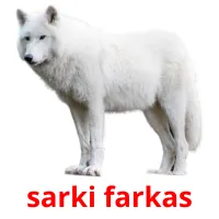 sarki farkas Bildkarteikarten